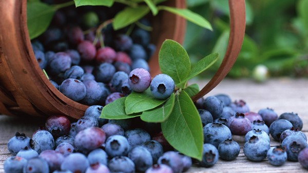 As melhores frutas para aliviar a dor estomacal-4