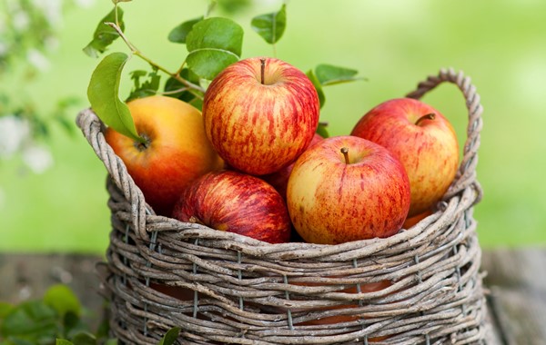 Como emagrecer frutas indicadas e quais devemos evitar-2