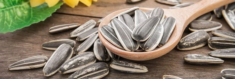 8 benefícios da semente de girassol à saúde