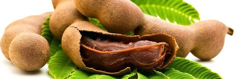 10 incríveis benefícios do tamarindo para a saúde