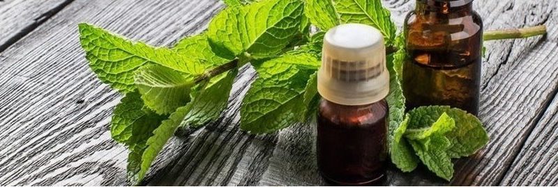 10 usos e benefícios do óleo essencial de hortelã pimenta
