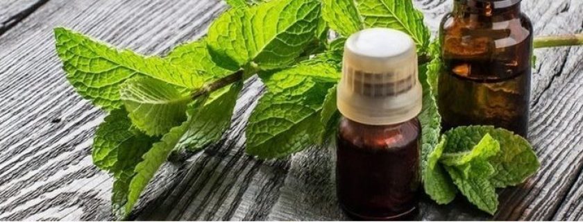 10 usos e benefícios do óleo essencial de hortelã pimenta