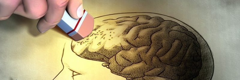 10 alimentos que ajudam a combater a doença de Alzheimer e demência