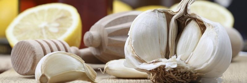 7 surpreendentes antissépticos naturais para curar feridas