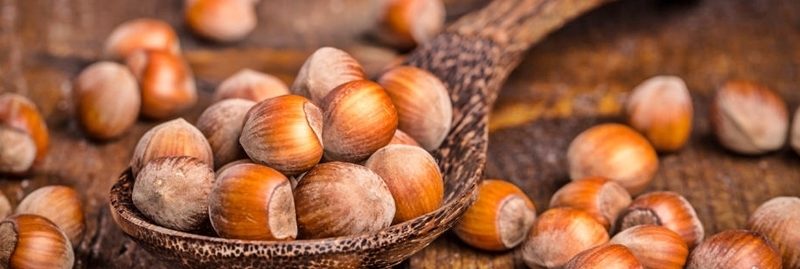 7 importantes benefícios da avelã para a nossa saúde