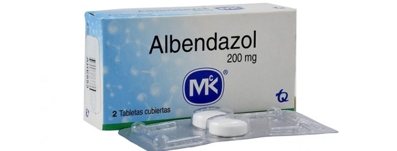 Como tomar Albendazol e informações da bula deste medicamento