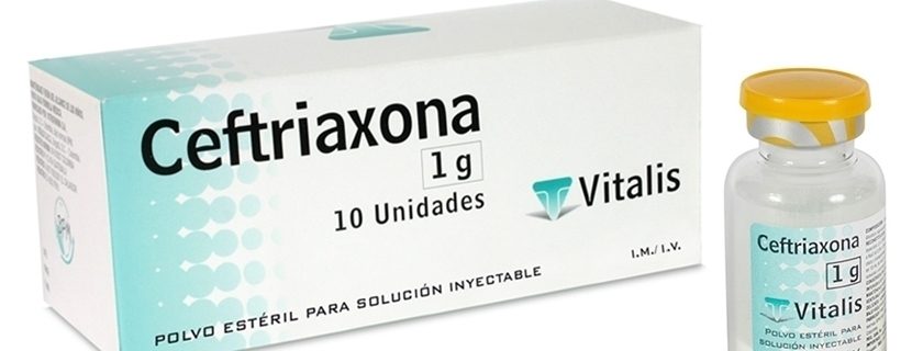 Indicações de uso e bula da ceftriaxona sódica injetável