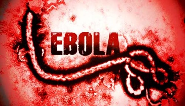 O que é o vírus ebola e como podemos evita-lo