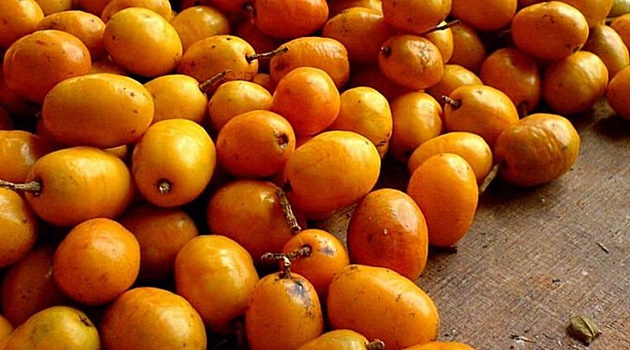 beneficios-da-siriguela