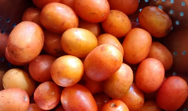 beneficios-da-siriguela