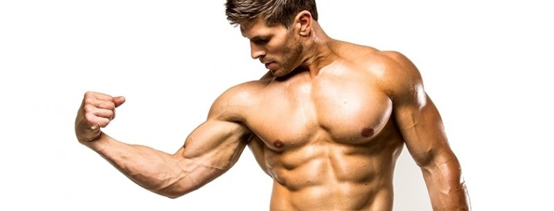 Treino, alimentos e dieta para hipertrofia muscular