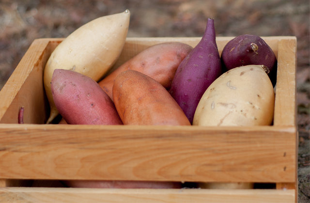 beneficios e propriedades da batata doce