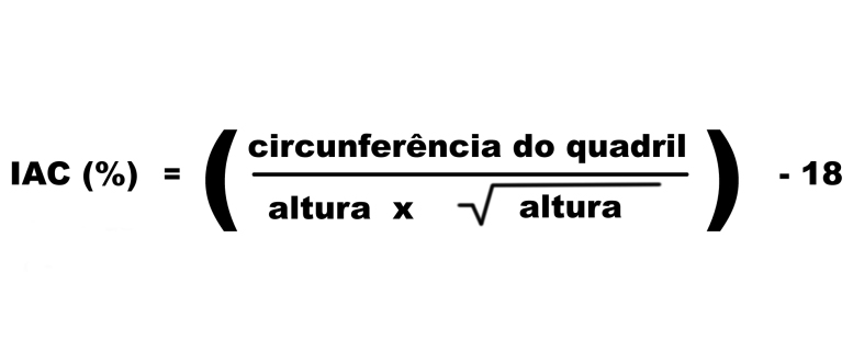 o que e imc saiba calcular e veja se esta em seu peso ideal