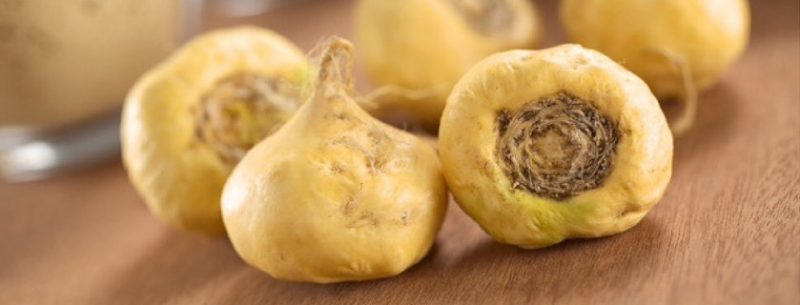 Maca peruana funciona? Conheça seus benefícios e saiba como consumir