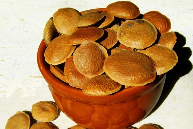 sucupira