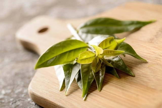 Receitas com ora pro nobis